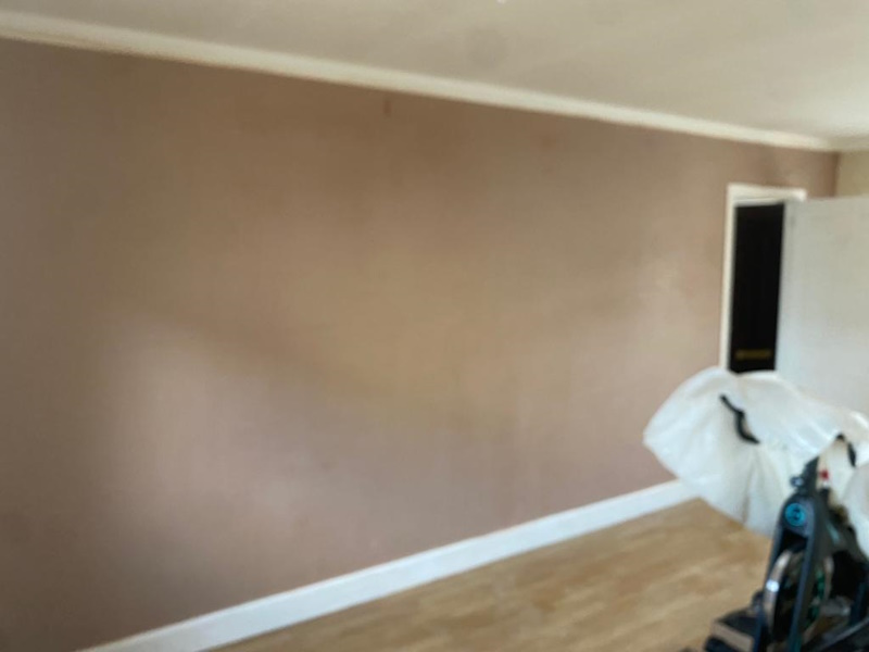 Freshly plastered wall with coving in Dundee